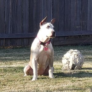 Meet your Posher, Jayden